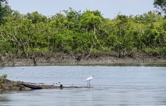 সোনাদিয়া দ্বীপ — কক্সবাজারের খুব কাছে, অথচ অন্য এক পৃথিবী